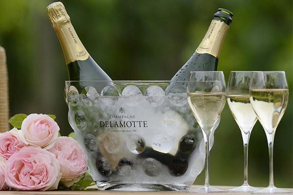 Delamotte-1